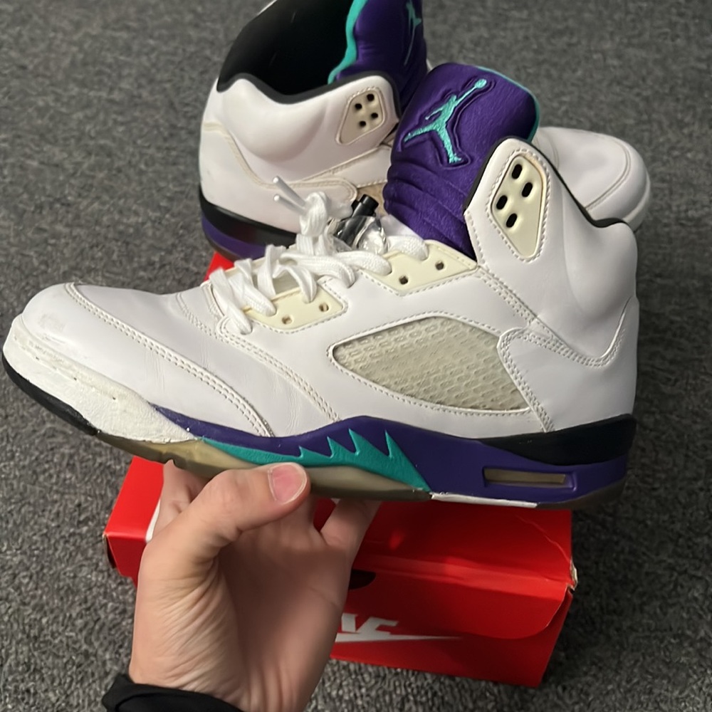 Nike Air Jordan 5 grapes